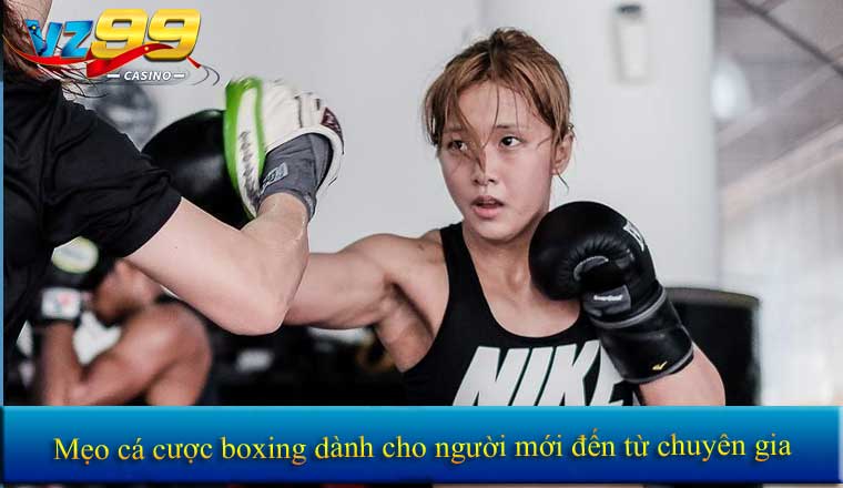 Mẹo cá cược boxing dành cho người mới đến từ chuyên gia