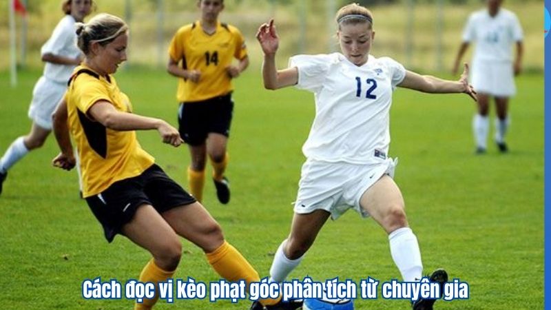 Cách đọc vị kèo phạt góc phân tích từ chuyên gia