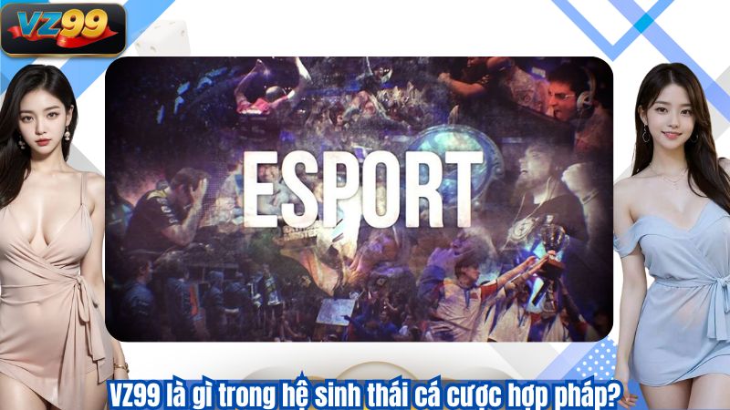 VZ99 là gì trong hệ sinh thái cá cược hợp pháp?